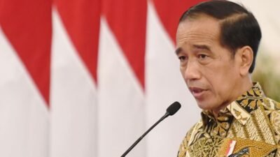 RUU Pilkada Tidak Disahkan, Jokowi Pastikan Pemerintah Ikuti Keputusan MK