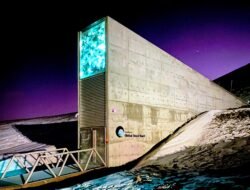 Global Seed Vault: Tempat Teraman di Dunia yang Menyelamatkan Masa Depan Pangan