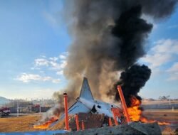 Tragedi di Langit Muan: Kecelakaan Boeing 737-800 Jeju Air yang Menggemparkan