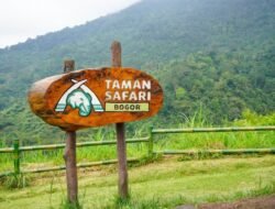 Kasus Eksploitasi Mantan Pemain Sirkus Taman Safari: Fakta dan Implikasi