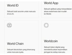 Kenapa Worldcoin Diblokir di Indonesia? Ini Penjelasan Lengkapnya
