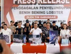 Penyelundupan Benih Lobster Rp 48 Miliar di Batam