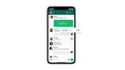 Cara Mengetahui Pesan WhatsApp Sudah Dibaca Walau Centang Biru Dimatikan