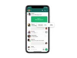 Cara Mengetahui Pesan WhatsApp Sudah Dibaca Walau Centang Biru Dimatikan