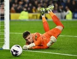 Bart Verbruggen Pilih Bertahan di Brighton Meski Dikejar Bayern Munich