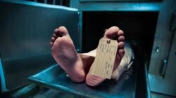 Pembunuhan Pengacara Banyumas: Kakak Beradik Terancam Jeratan Hukum Mati