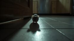 Tikus Menguasai Rumah? Strategi Lengkap Mengusir hingga Tuntas dengan Pendekatan Modern dan Teruji