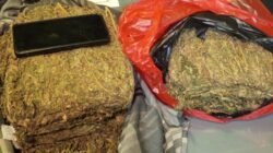 Dua Pemuda Ditangkap Polisi atas Kasus Peredaran Ganja di Jakarta Barat