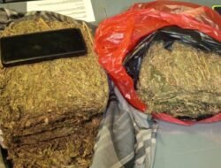 Dua Pemuda Ditangkap Polisi atas Kasus Peredaran Ganja di Jakarta Barat