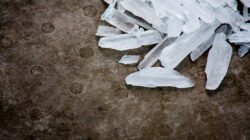 Penyelundupan Sabu Diselipkan di Ban, Polres Jakarta Pusat Gagalkan Rencana Jelang Lebaran