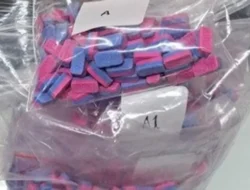 Polisi Bongkar Jaringan Narkoba Internasional, Ribuan Pil Ekstasi Diamankan di Jakarta Selatan