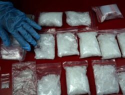 Polda Metro Jaya Bongkar Peredaran Sabu dan Ganja di Jakarta Barat