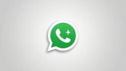 WhatsApp Plus Mulai Diuji, Pengguna Bisa Ubah Tampilan hingga 20 Pin Chat Sekaligus