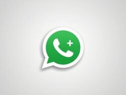 WhatsApp Plus Mulai Diuji, Pengguna Bisa Ubah Tampilan hingga 20 Pin Chat Sekaligus